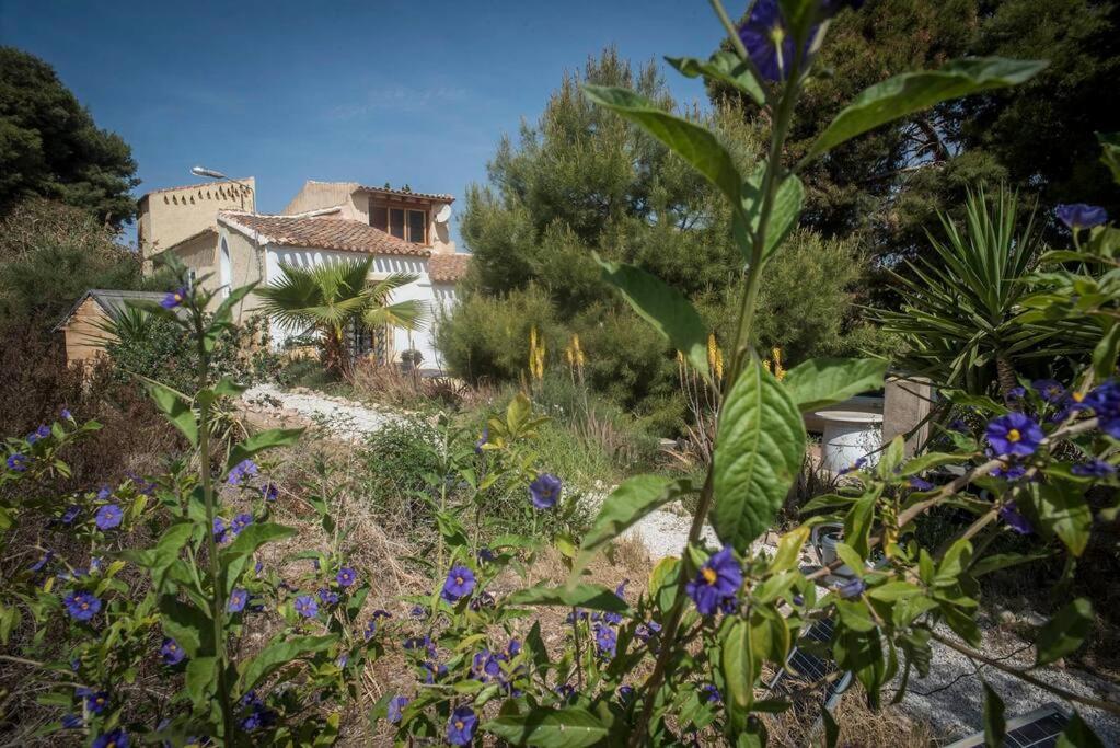 Oasis De Ifre Villa Caserío Cañada de Gallego Exteriör bild