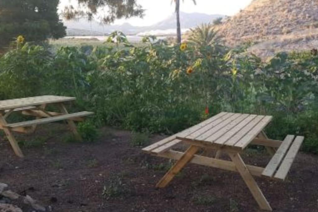 Oasis De Ifre Villa Caserío Cañada de Gallego Exteriör bild
