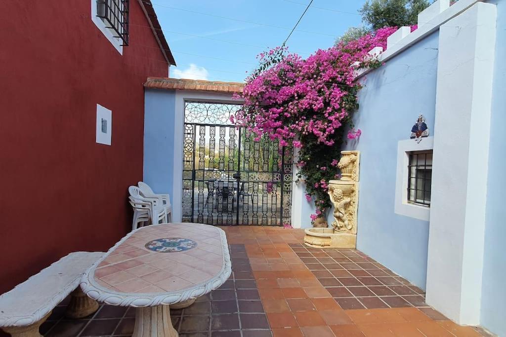 Oasis De Ifre Villa Caserío Cañada de Gallego Exteriör bild