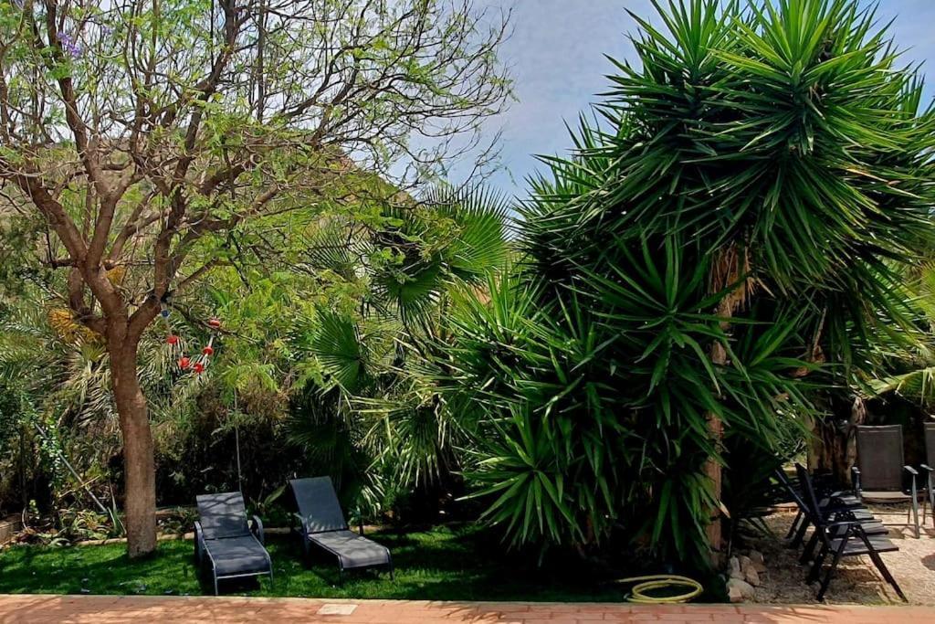 Oasis De Ifre Villa Caserío Cañada de Gallego Exteriör bild