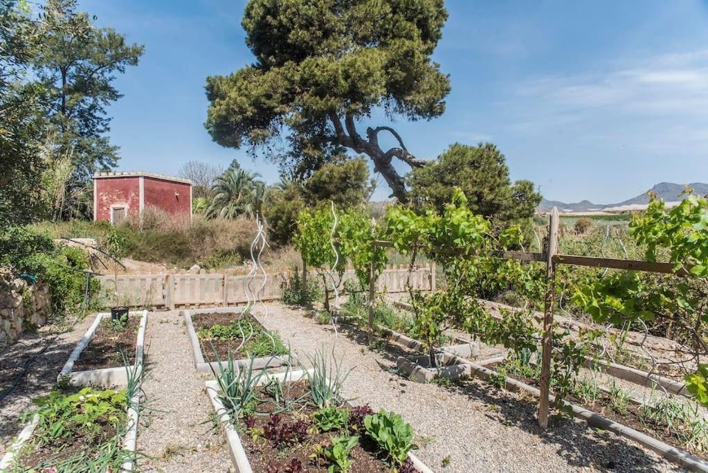 Oasis De Ifre Villa Caserío Cañada de Gallego Exteriör bild
