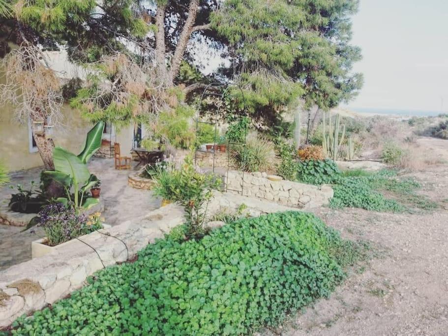 Oasis De Ifre Villa Caserío Cañada de Gallego Exteriör bild