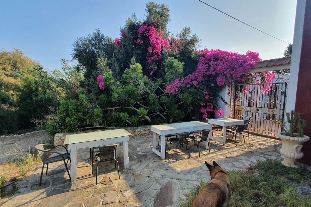 Oasis De Ifre Villa Caserío Cañada de Gallego Exteriör bild