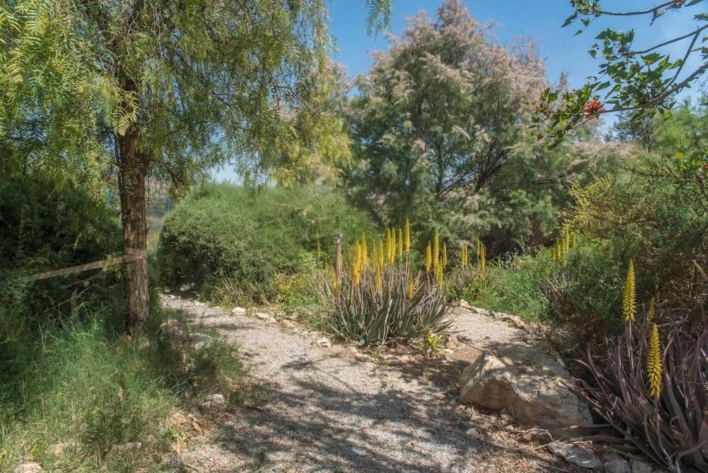Oasis De Ifre Villa Caserío Cañada de Gallego Exteriör bild