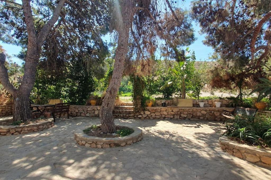 Oasis De Ifre Villa Caserío Cañada de Gallego Exteriör bild