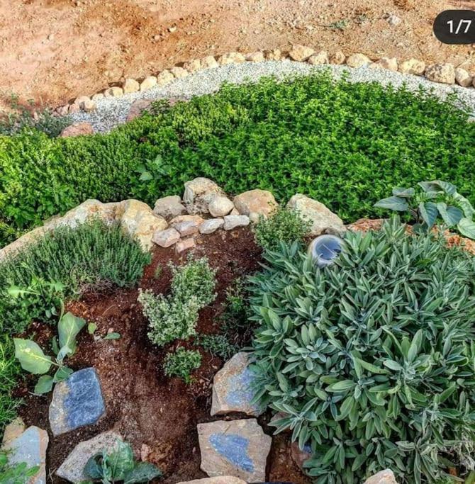 Oasis De Ifre Villa Caserío Cañada de Gallego Exteriör bild